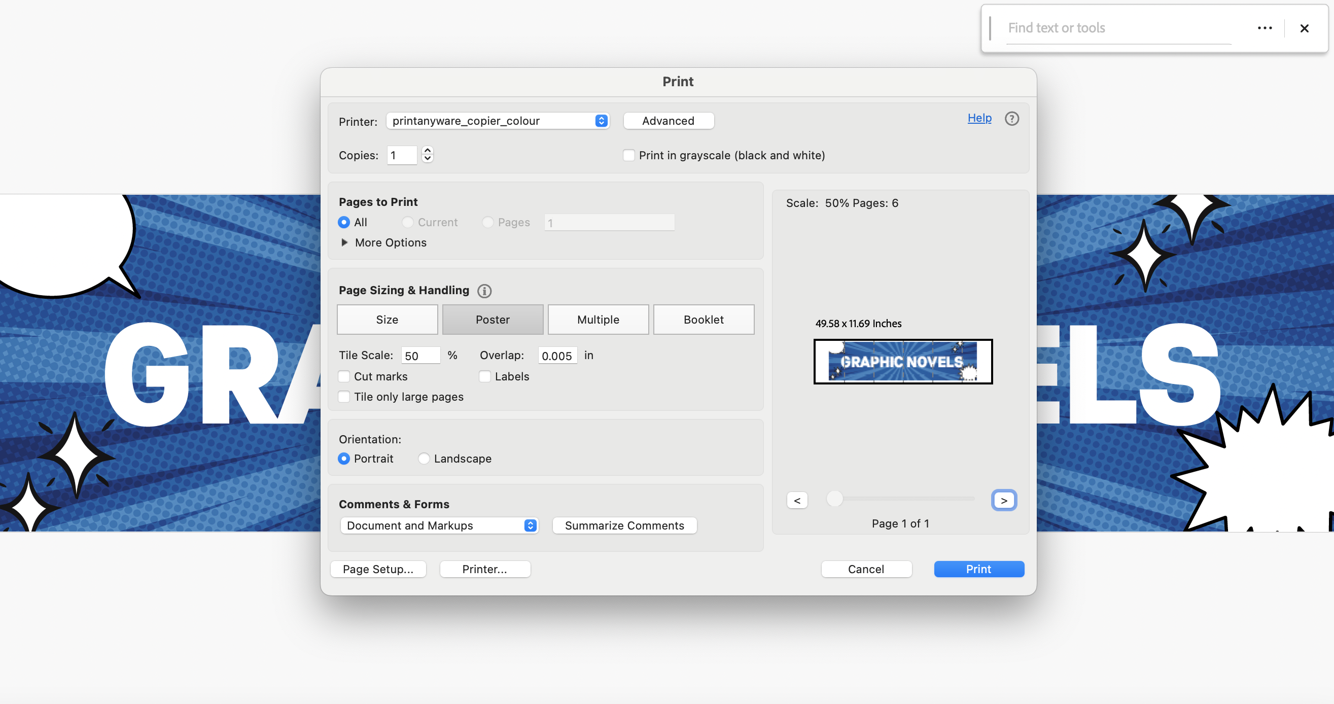 Adobe Acrobat Reader screenshot showing printer settings