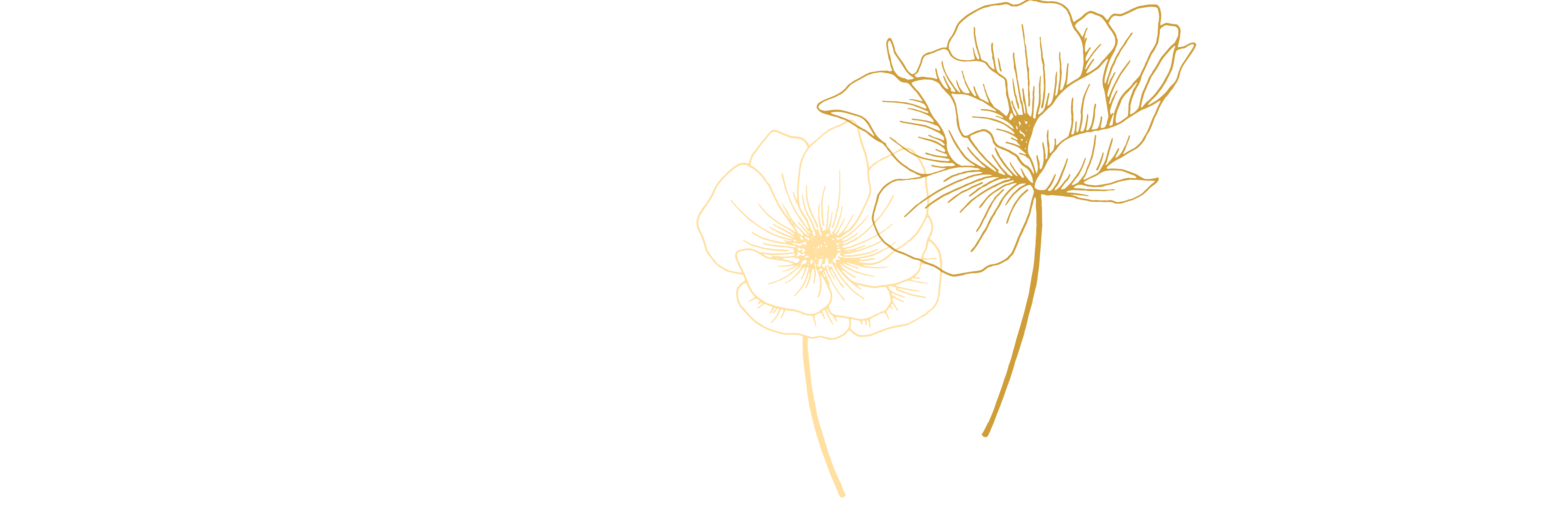 Madison's Library